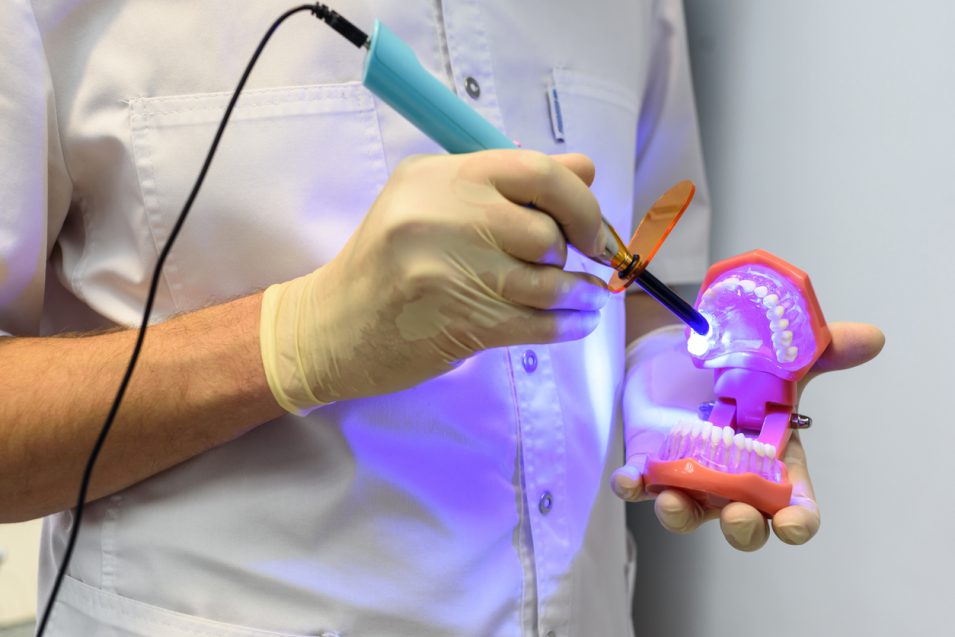 Gloved dentist's hand holding dental gypsum model